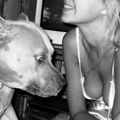 Секс Женщин С Собаками Форуме